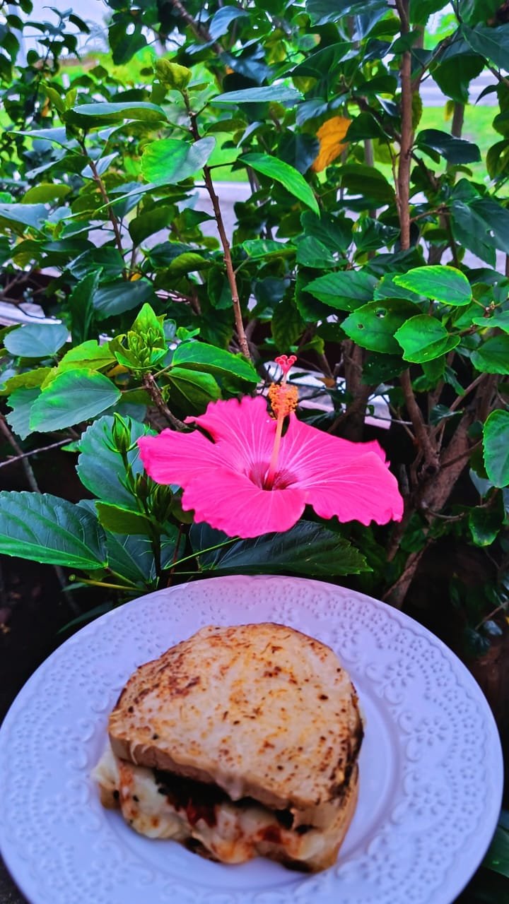 Sanduíche da Casa Encantada com flores ao fundo